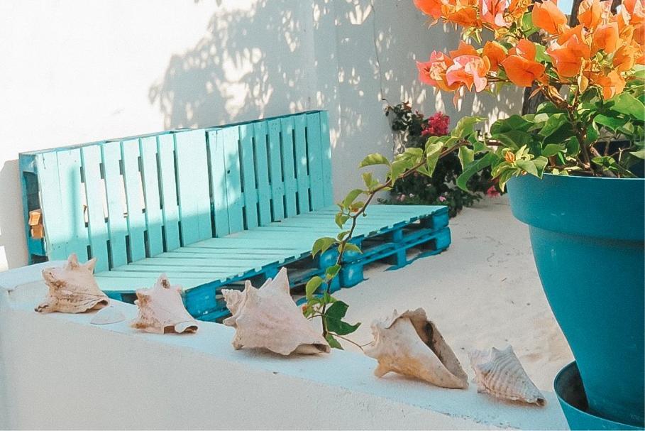 Beachfront Bella Horizonte 7 Savaneta 外观 照片