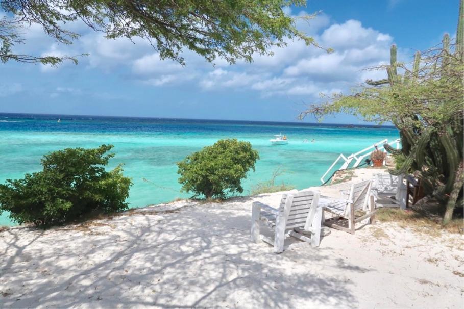 Beachfront Bella Horizonte 7 Savaneta 外观 照片